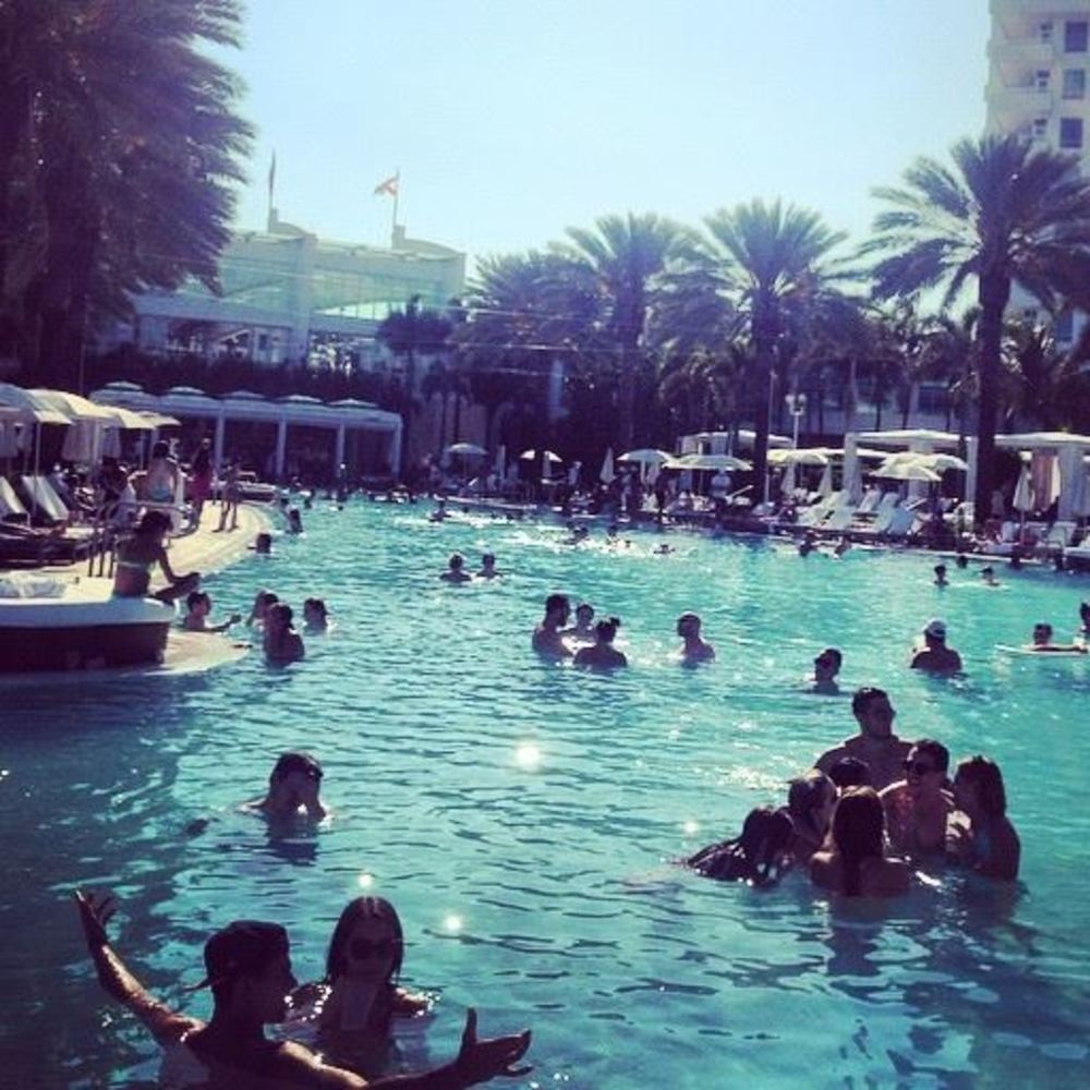 Meet your Posher, Luis